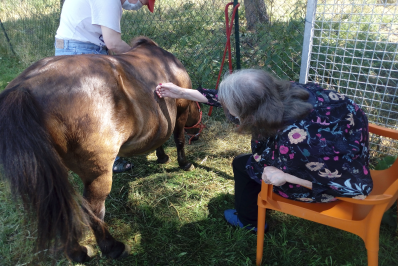 Dame âgée atteinte d'une maladie d'Alzheimer, assise sur un fauteuil dans un pré et caressant un poney