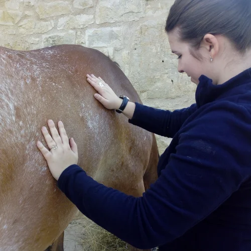 bien-être et équitation : jeune femme caressant le flanc et la croupe de son cheval