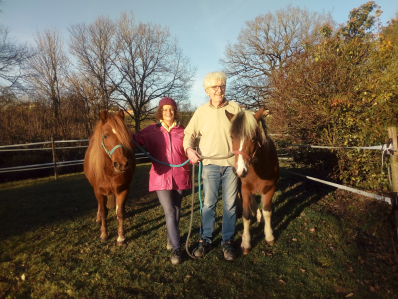 Un couple de propriétaires d'une soixantaine d'années pose debout avec leurs deux chevaux après avoir fait la formation détenteur d'équidés
