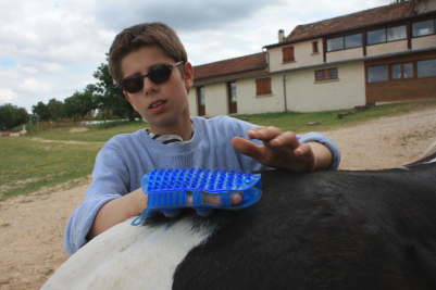 Un enfant atteint d'un handicap sensoriel (cécité) étrille un cheval au repos