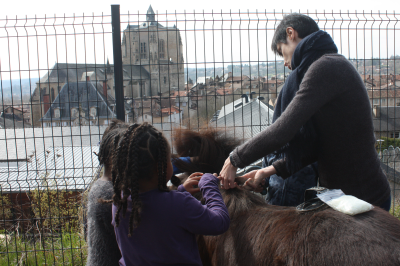 Groupe d'enfant avec un poney dans une école, en arrière fond la basilique de Villefranche de Rouergue