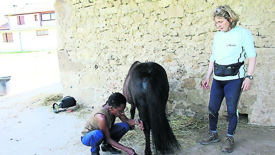 Marie Noêlle Gachet aide une patiente à panser un poney