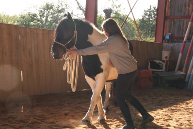 Adolescente effectuant un travail à pied avec son cheval dans la carrière