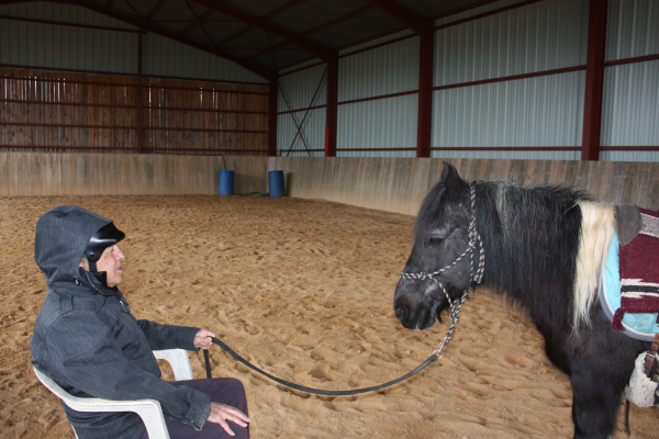 Cavalier assis face à son cheval ; il communique avec son cheval avant de le monter.
