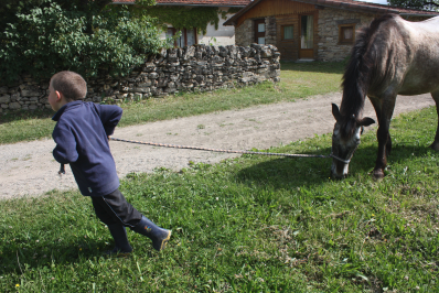 jeune garçon handicapé tirant à pied un cheval qui préfère brouter et reste à l'arrêt