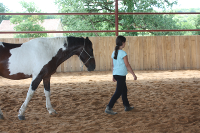 jeune fille marchant devant son cheval dans le manège