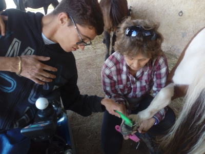 un jeune handicapé en fauteuil roulant cure le pied d'un cheval avec l'aide de marie-noëlle gachet