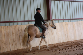 Cavalier adulte sur son cheval lors d'une séance de travail en manège lors d'un cours individuel