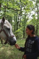 Dans un bois, une jeune femme debout face à son cheval caresse le museau de celui-ci