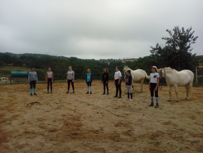 Séance d'équi-coaching de groupe avec des adolescents ; huit jeunes sont debout dans la carrière et deux chevaux sont en arrière-plan, attendant placidement.