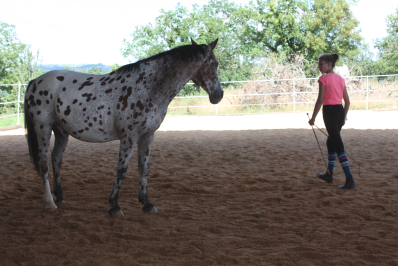 jeune fille assurant son leadership sur un cheval en tournant autour de celui-ci sans qu'il bouge