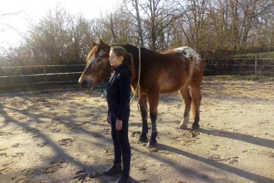 jeune fille concentrée, debout à côté de son cheval immobile